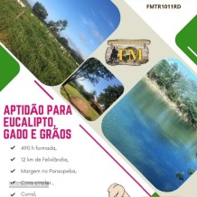🌟 FAZENDA À VENDA EM FELIXLÂNDIA – MG | 490 HECTARES 🌟